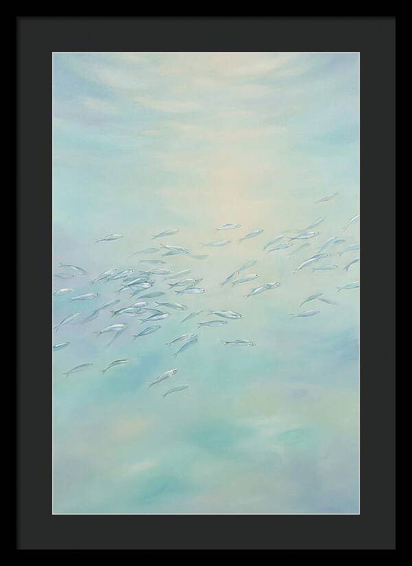 School Of Silver Fish In Sunlit Shallow
