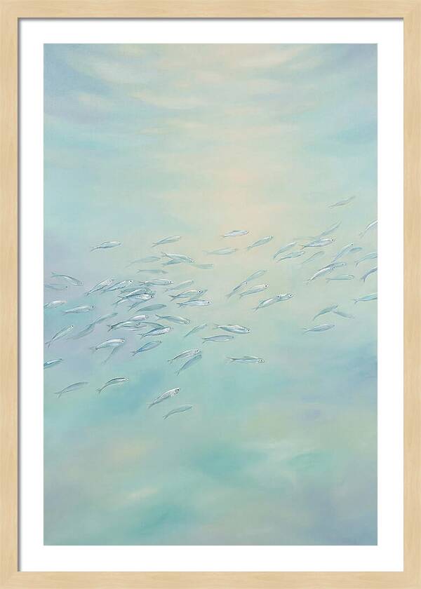 School Of Silver Fish In Sunlit Shallow