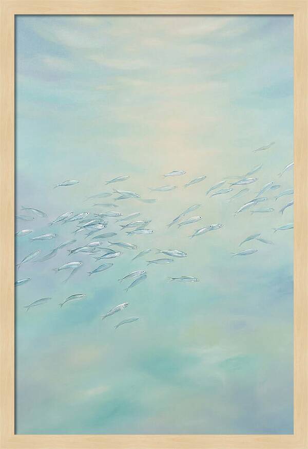 School Of Silver Fish In Sunlit Shallow