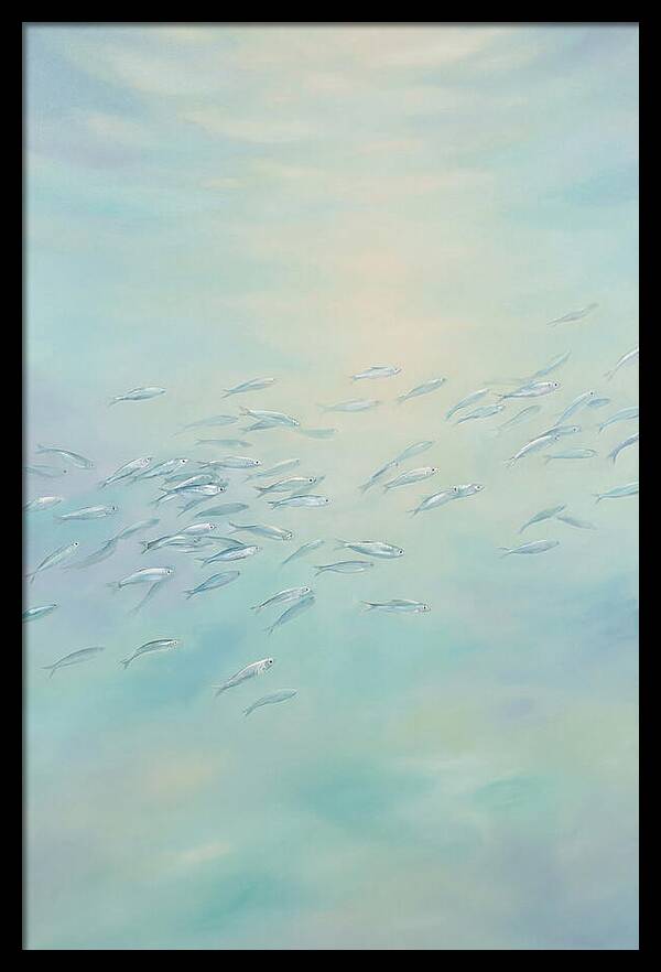 School Of Silver Fish In Sunlit Shallow