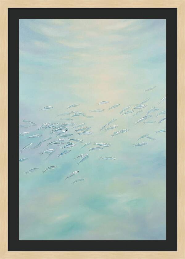 School Of Silver Fish In Sunlit Shallow