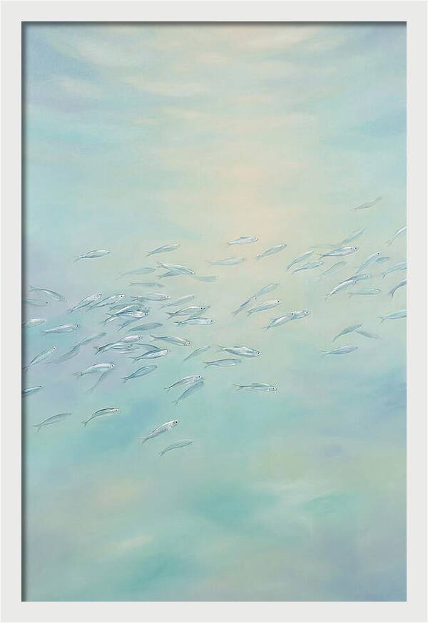 School Of Silver Fish In Sunlit Shallow