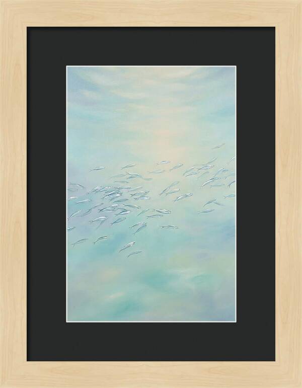 School Of Silver Fish In Sunlit Shallow