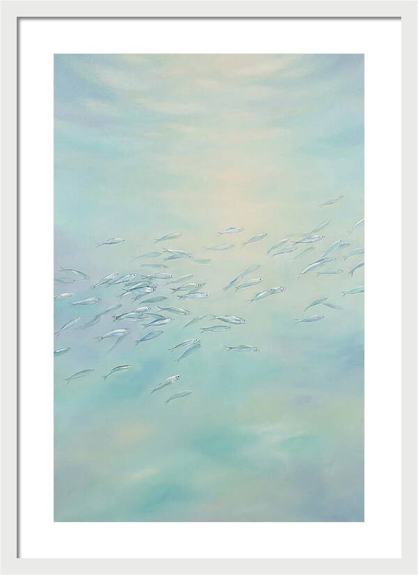 School Of Silver Fish In Sunlit Shallow
