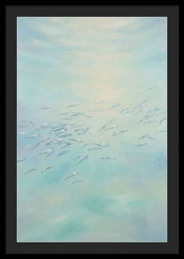 School Of Silver Fish In Sunlit Shallow