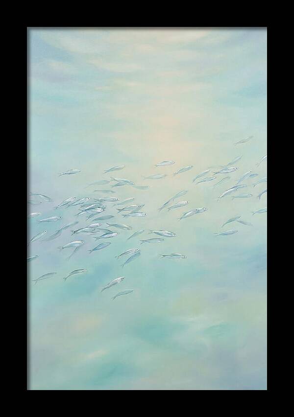 School Of Silver Fish In Sunlit Shallow