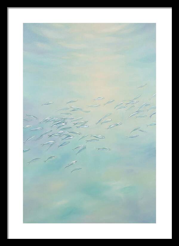 School Of Silver Fish In Sunlit Shallow