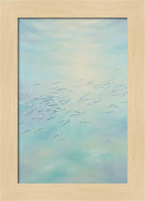 School Of Silver Fish In Sunlit Shallow
