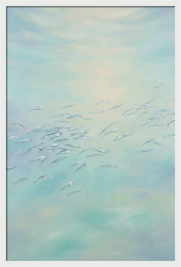 School Of Silver Fish In Sunlit Shallow