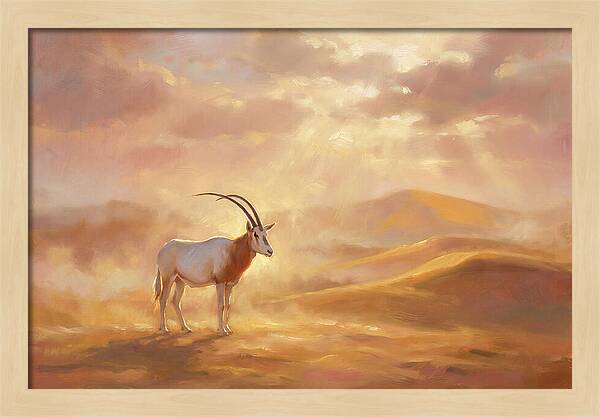 Scimitar Oryx In Landscape