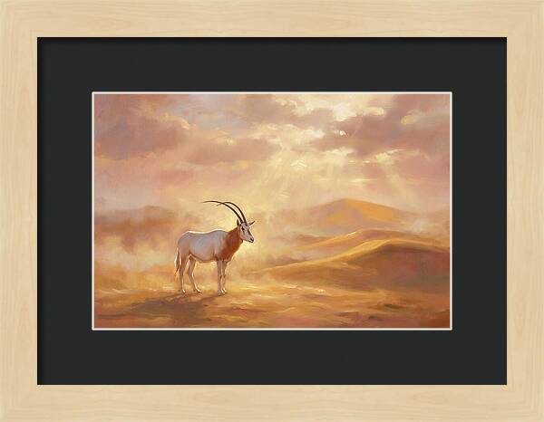 Scimitar Oryx In Landscape