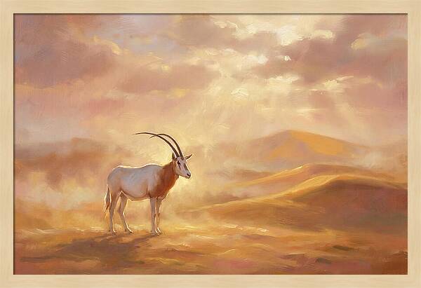Scimitar Oryx In Landscape