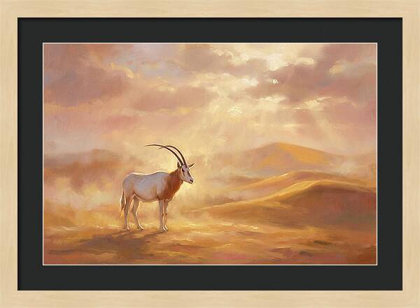 Scimitar Oryx In Landscape