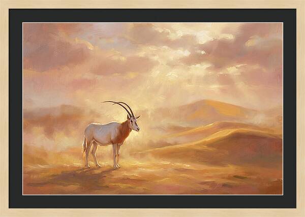 Scimitar Oryx In Landscape