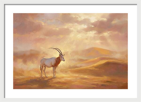 Scimitar Oryx In Landscape
