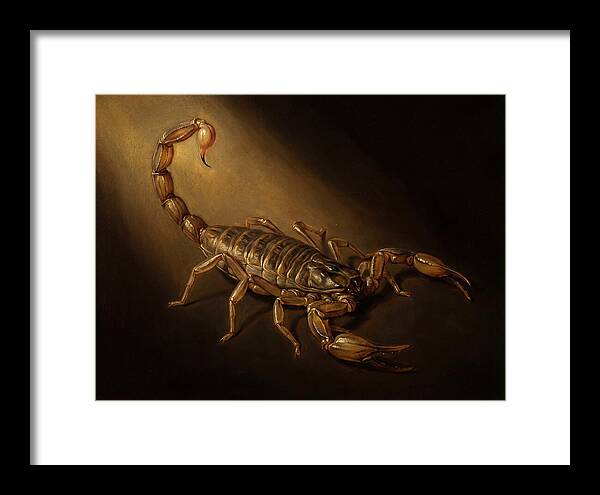 Scorpion In Dramatic Light