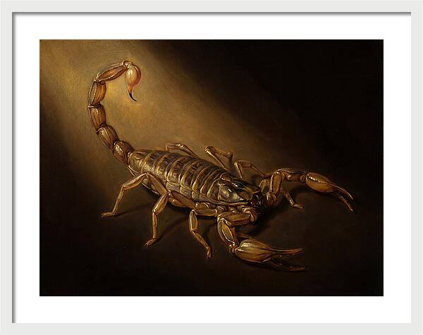 Scorpion In Dramatic Light