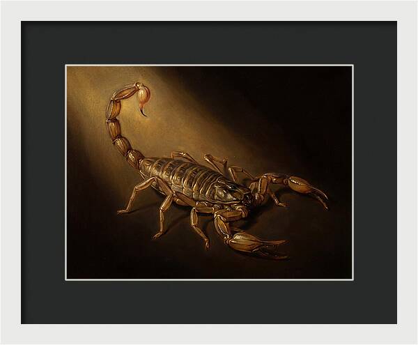 Scorpion In Dramatic Light