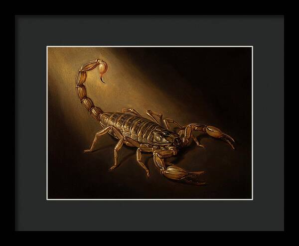 Scorpion In Dramatic Light