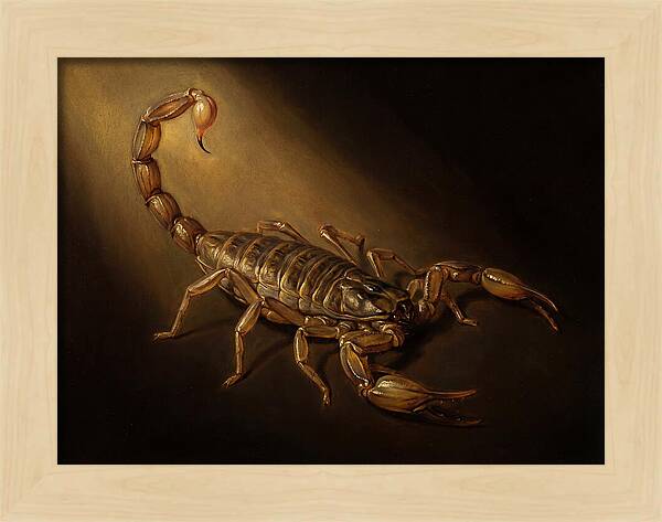 Scorpion In Dramatic Light