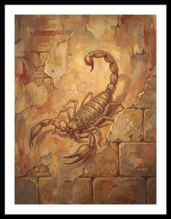 Scorpion On A Mediterranean Wall