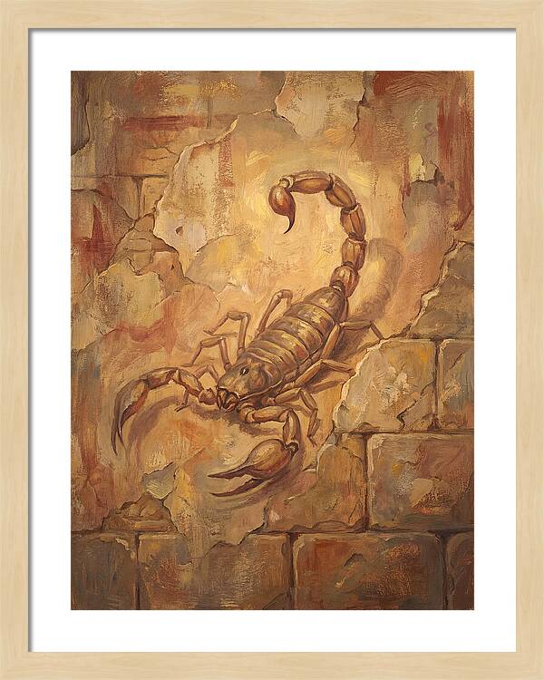 Scorpion On A Mediterranean Wall