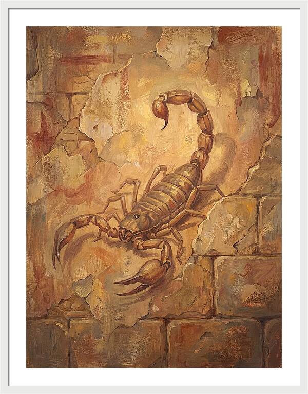 Scorpion On A Mediterranean Wall