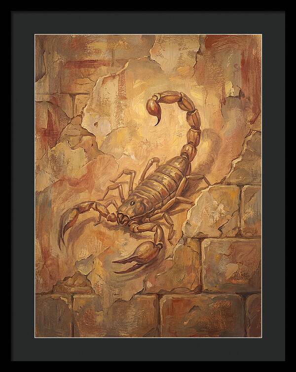 Scorpion On A Mediterranean Wall