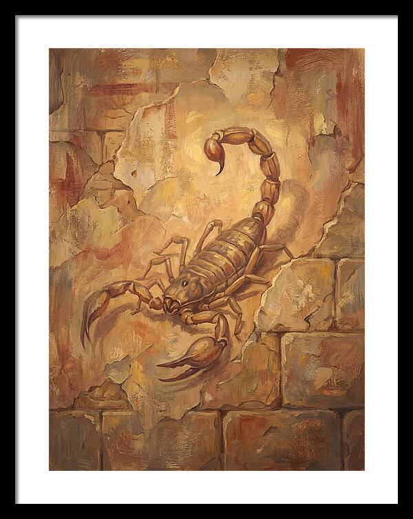 Scorpion On A Mediterranean Wall