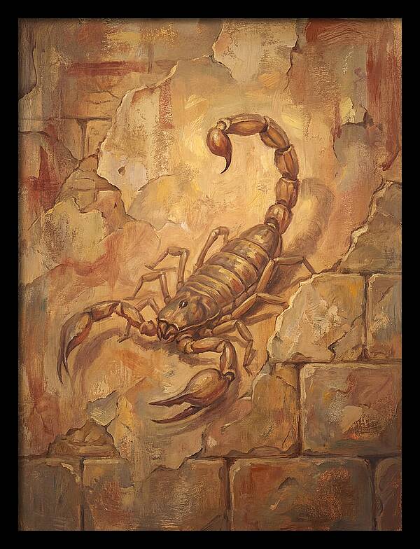 Scorpion On A Mediterranean Wall