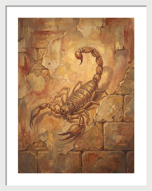 Scorpion On A Mediterranean Wall