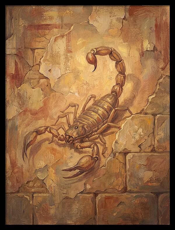 Scorpion On A Mediterranean Wall