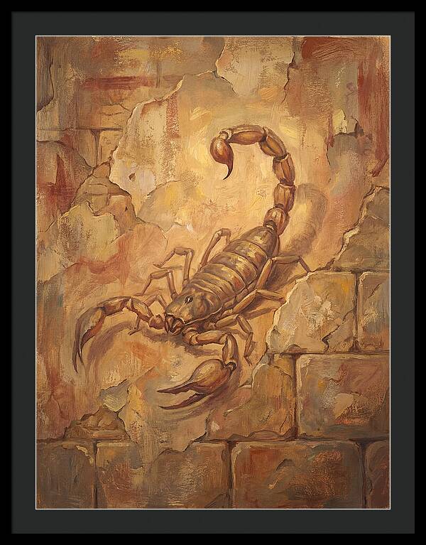 Scorpion On A Mediterranean Wall