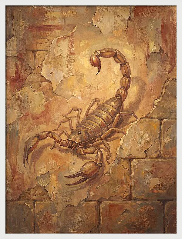 Scorpion On A Mediterranean Wall
