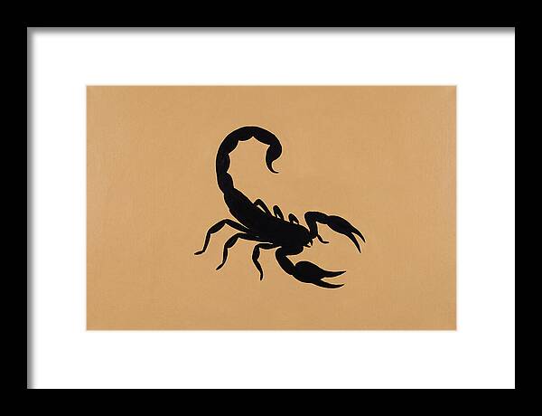 Scorpion Silhouette On Warm Background