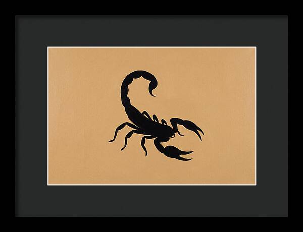 Scorpion Silhouette On Warm Background