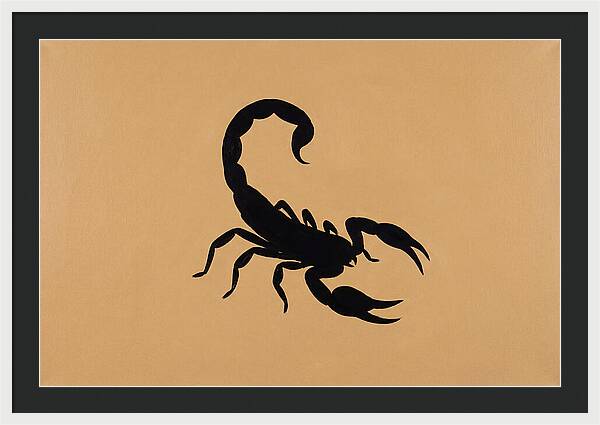Scorpion Silhouette On Warm Background