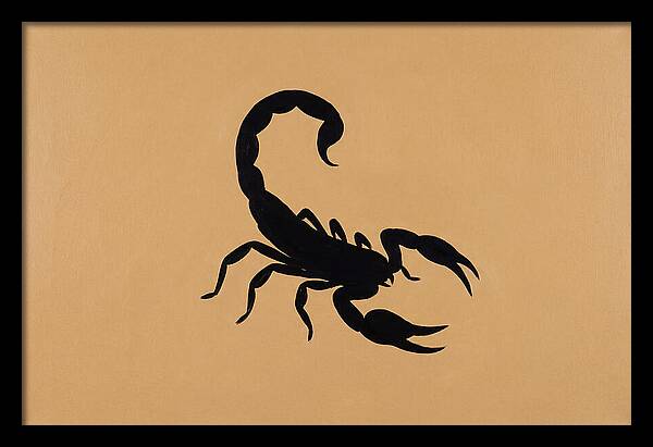 Scorpion Silhouette On Warm Background