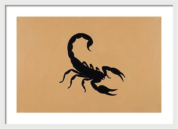 Scorpion Silhouette On Warm Background
