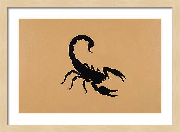 Scorpion Silhouette On Warm Background