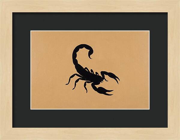 Scorpion Silhouette On Warm Background