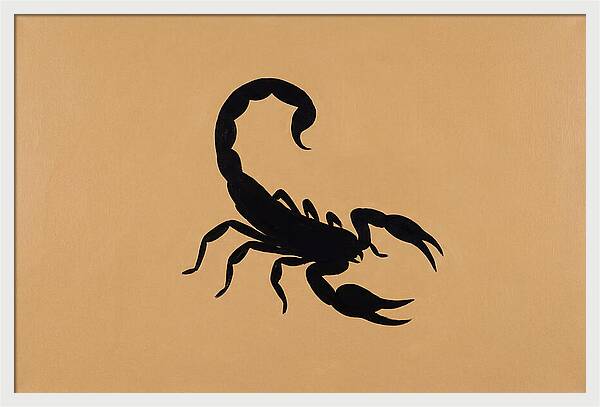 Scorpion Silhouette On Warm Background