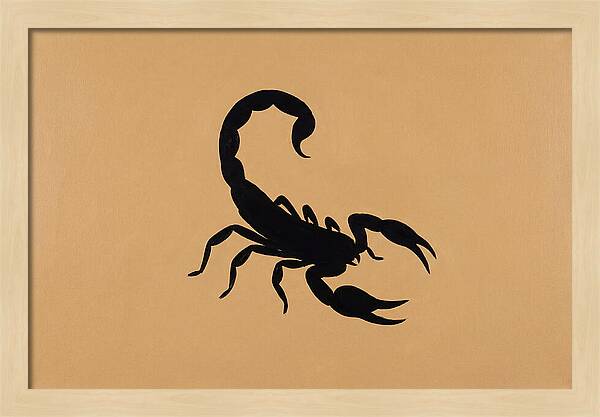 Scorpion Silhouette On Warm Background