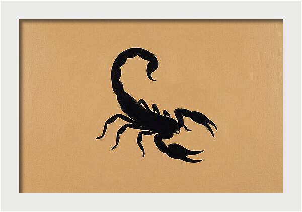 Scorpion Silhouette On Warm Background