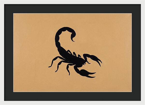 Scorpion Silhouette On Warm Background