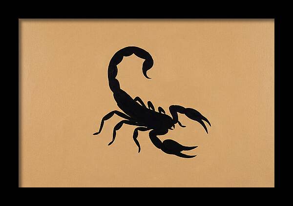 Scorpion Silhouette On Warm Background
