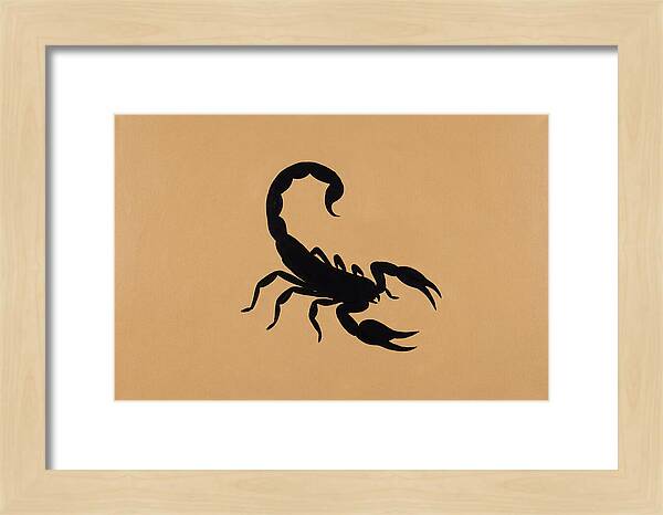 Scorpion Silhouette On Warm Background