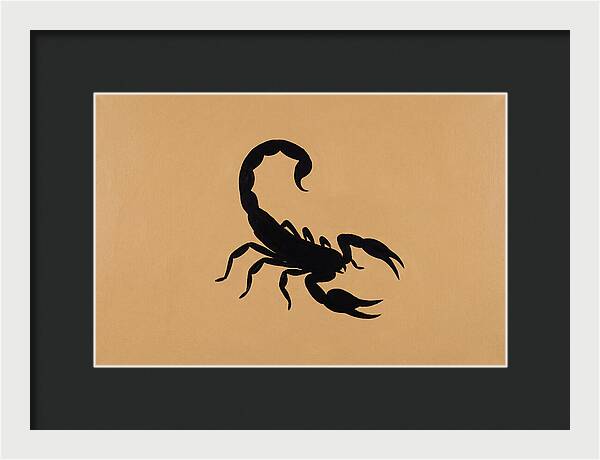 Scorpion Silhouette On Warm Background