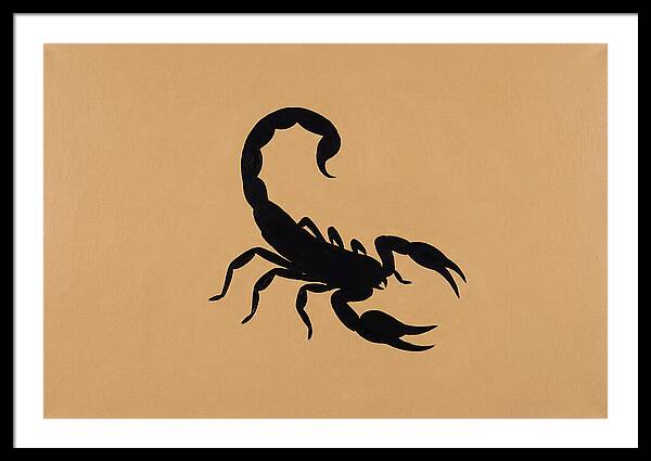 Scorpion Silhouette On Warm Background