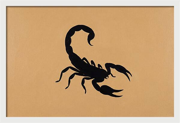 Scorpion Silhouette On Warm Background